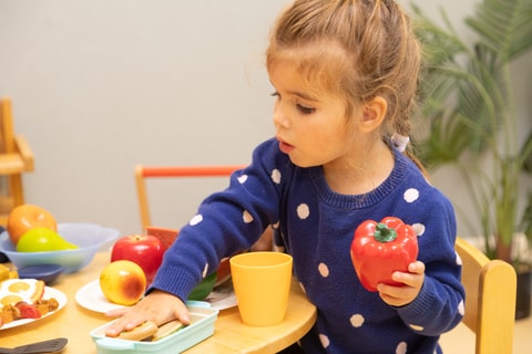 Child playing with toy food in QEC PlayRoom.